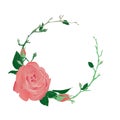 Blooming and budding pink rose flowers wreath