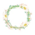 Blooming and budding daisy flowers wreath