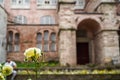 Blooming and budding yellow rose flower foreground with insect on blurred background of Hagia Sophia historical world heritage Royalty Free Stock Photo