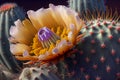 Blooming cactus close-up. AI Generated