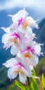 Radiant Orchid Flower Rising Against Majestic Mountain