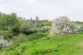 Blooming cherry and apple orchards on the hills in the city park in spring Royalty Free Stock Photo