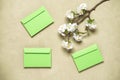 Blooming cherry branch artificial and green envelopes flat lay. Spring background. Top view