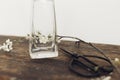 Blooming cherry branch and scissors on rustic wooden background. Spring flowers and glass vase close up still life. Simple Royalty Free Stock Photo