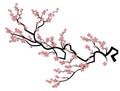 Blooming cherry. Sakura branch with flower buds. Cartoon drawing of a blossoming tree in spring. Logo with Japanese