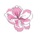 Blooming cherry. Sakura branch with flower buds. Drawing of a blossoming tree in spring. Logo with Japanese cherry