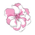 Blooming cherry. Sakura branch with flower buds. Drawing of a blossoming tree in spring. Logo with Japanese cherry