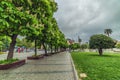Blooming chestnut trees and view of Aya Sofia Royalty Free Stock Photo