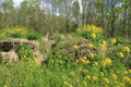 Blooming coleseed and bales of hay in the park in spring. Royalty Free Stock Photo