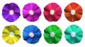 blooming Colorful Bush Clock Vine flower set collection with clipping path isolated on white background.