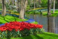 Meadow, colorful tulips and spring blooms along the pond in Keukenhof garden, Netherlands Holland nature, cultivation Royalty Free Stock Photo
