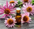 Blooming coneflower heads and bottle of echinacea oil on wooden background close-up