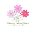 Blooming cosmos flower, kosmeya and cosmos, logo design. Nature, floral, bloom and floristry, vector design