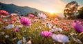 field blooming flower spring nature beautiful pink violet background sunset meadow. Generative AI. Royalty Free Stock Photo