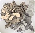 Blooming decorative rose, hand-drawing. Vector illustration.