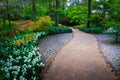 Blooming diverse colorful spring flowers in the Keukenhof park, Netherlands Royalty Free Stock Photo