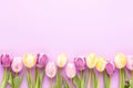 Blooming Easter: Vibrant Tulips Banner.