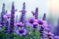 Blooming elegance Purple flower garden with ample space for text