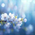 Blooming elegance Spring branch with white flowers on blue bokeh
