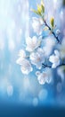 Blooming elegance Spring branch with white flowers on blue bokeh