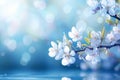 Blooming elegance Spring branch with white flowers on blue bokeh