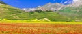 Blooming fields of Castelluccio di Norcia Royalty Free Stock Photo