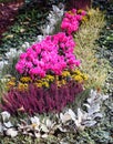 Blooming flower bed with perennials