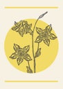 Blooming flower branch sketch illustration poster. Botanical columbine aquilegia