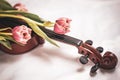 Blooming flower buds and plant leaves