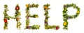 Blooming Flower Letters Building English Word Help