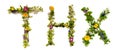 Blooming Flower Letters Building English Word THX