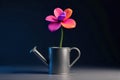 A blooming flower nurtured by a watering can, representing the development and cultivation of ideas and potential. Royalty Free Stock Photo