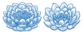 Lotus and lily. Blooming flower with petals. Sketch vector illustration Royalty Free Stock Photo