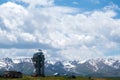 Blooming flowers on Assy plateau with observatory dome on background. Spring in Tien-shan mountains Royalty Free Stock Photo