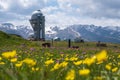 Blooming flowers on Assy plateau with observatory dome on background. Spring in Tien-shan mountains Royalty Free Stock Photo