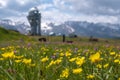 Blooming flowers on Assy plateau with observatory dome on background. Spring in Tien-shan mountains Royalty Free Stock Photo