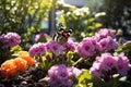 Blooming flowers and butterflies in the spring garden Royalty Free Stock Photo