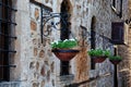 Blooming flowers in a flower pot hanging from the wall near the window in the historical part of Antalya known as Kaleici. Turkey.