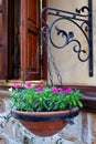 Blooming flowers in a flower pot hanging from the wall near the window in the historical part of Antalya known as Kaleici. Royalty Free Stock Photo