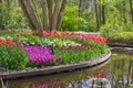 Blooming flowers in a park with a pond