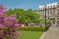 Blooming flowers and people enjoying sunny summer day at park in Oslo, Norway