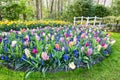 Blooming flowers with tulips hyacinths and bridge