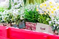 Blooming flowers in wooden decorative boxes standing on red carriage