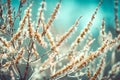 Blooming fluffy willow branches in spring, abstract, backgrounds