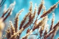 Blooming fluffy willow branches in spring, nature, plants and trees