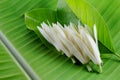 White Champak flower and leaves