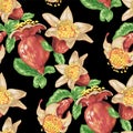 Blooming fruit flower of pomegranate tree in seamless pattern