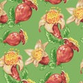 Blooming fruit flower of pomegranate tree in seamless pattern