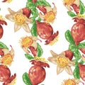 Blooming fruit flower of pomegranate tree in seamless pattern