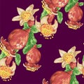 Blooming fruit flower of pomegranate tree in seamless pattern